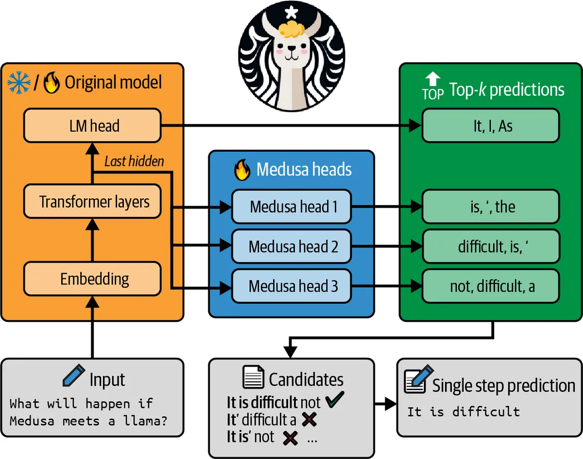 Medusa adds extra decoding heads that each predict a later token; the candidates are verified in a single step