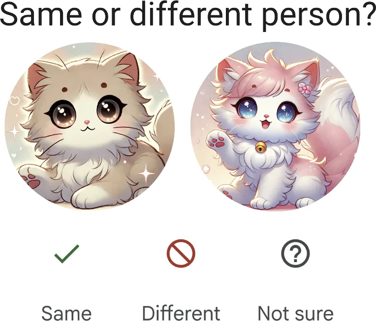 Asking for feedback only when the model is unsure: "Same or different person?"